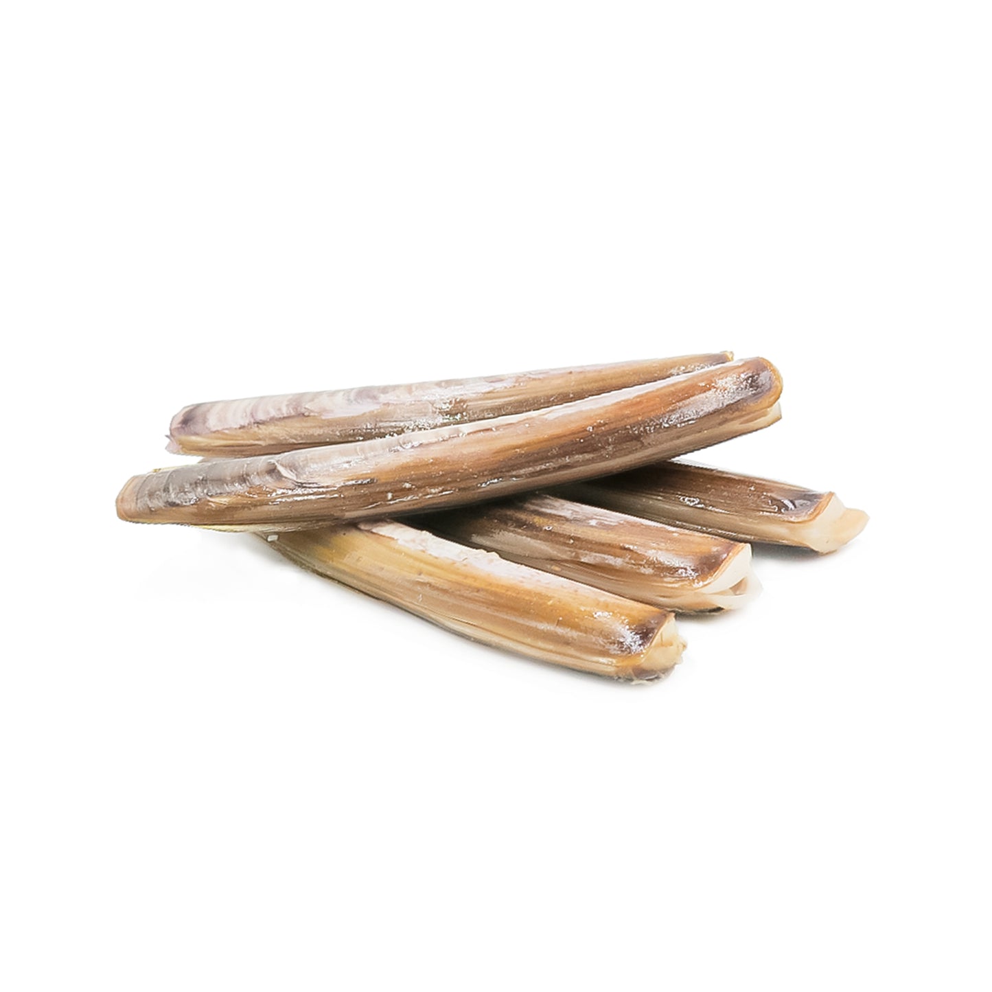 Razor Clams Fresh Kg