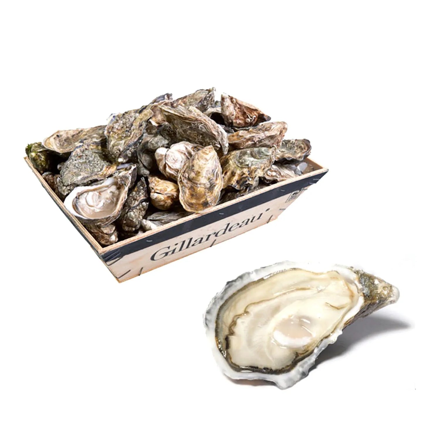 Oyster Gillardeau N2