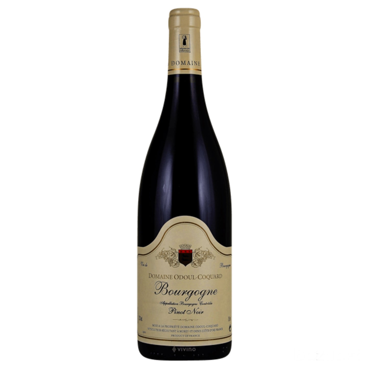 Bourgogne Côte D'Or Pinot Noir Domaine Odoul-Coquard 2023