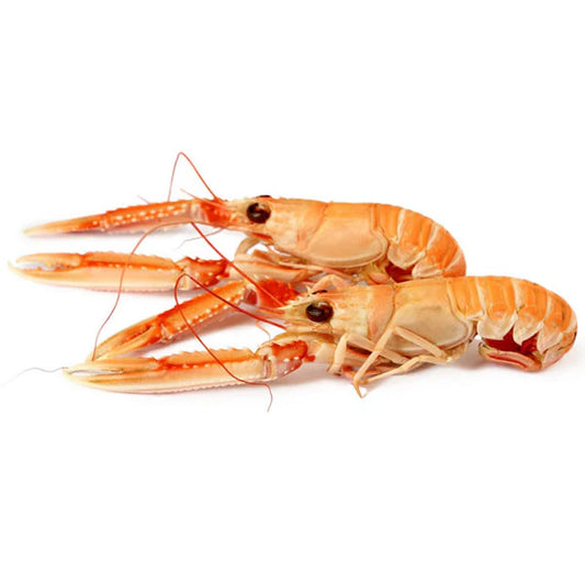 Langoustines Fraiche 1 KG