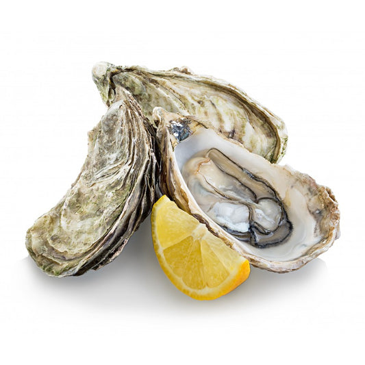 Oyster Fine De Claire
