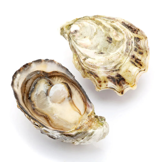 Oyster Gillardeau N2